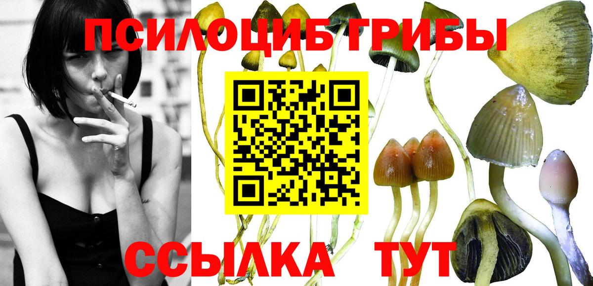 Галлюциногенные грибы GOLDEN TEACHER Череповец